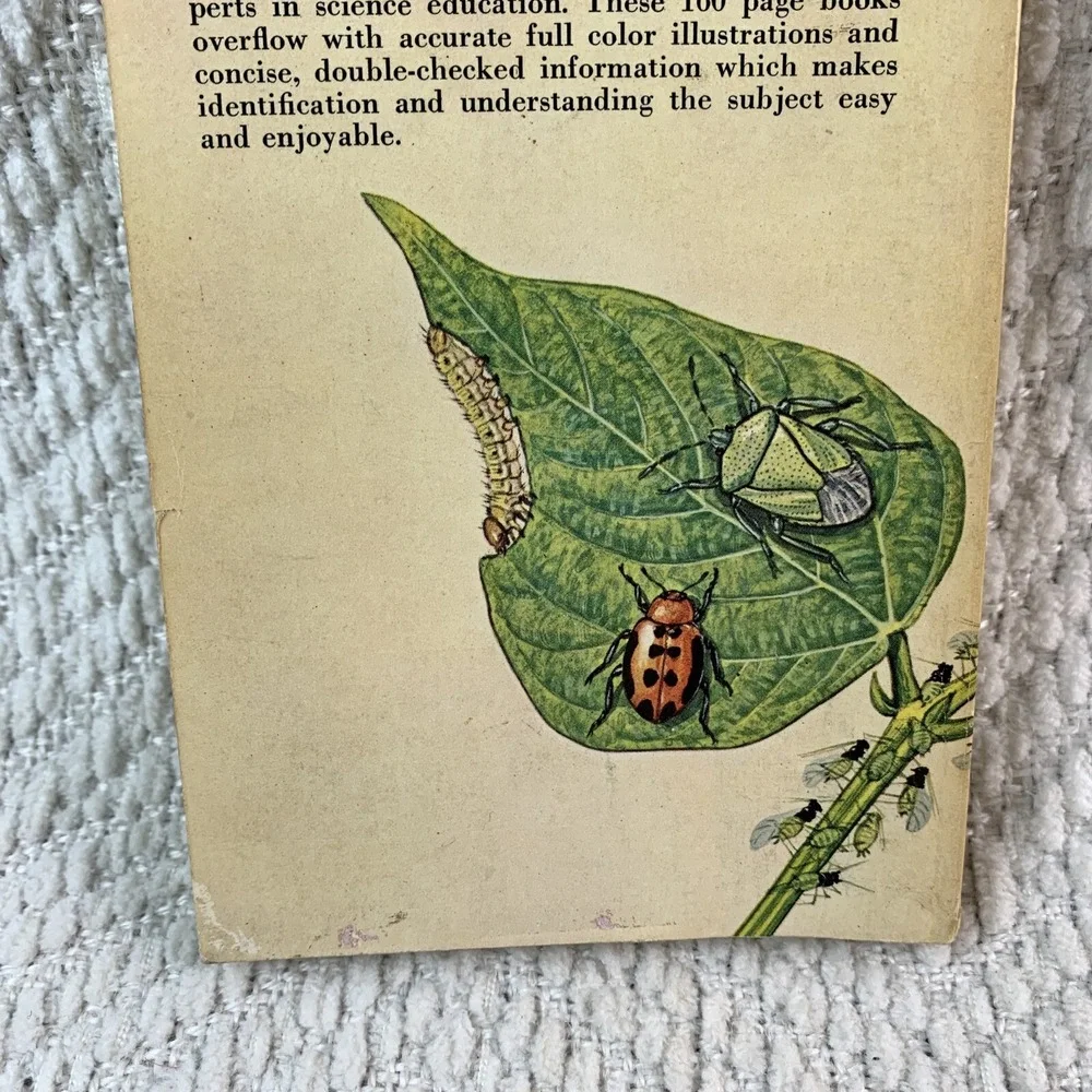 1966 A Golden Nature Guide INSECT PESTS by Herbert Zimm Home Garden Field Forest - Picture 10 of 16